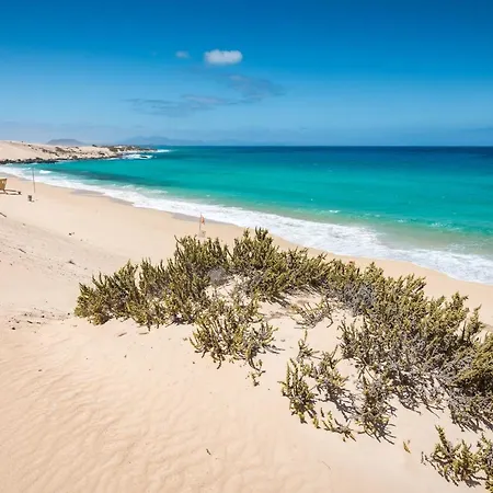 公寓 Home2book Casa Chispos Corralejo, Terrace&pool 科拉雷侯